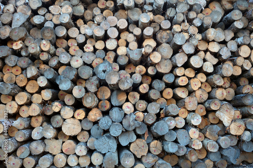 forestry industry stacked logs raw woodpile natural resources background