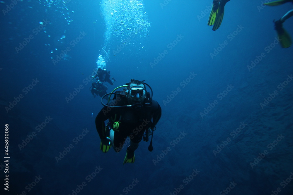 scuba diver and divers