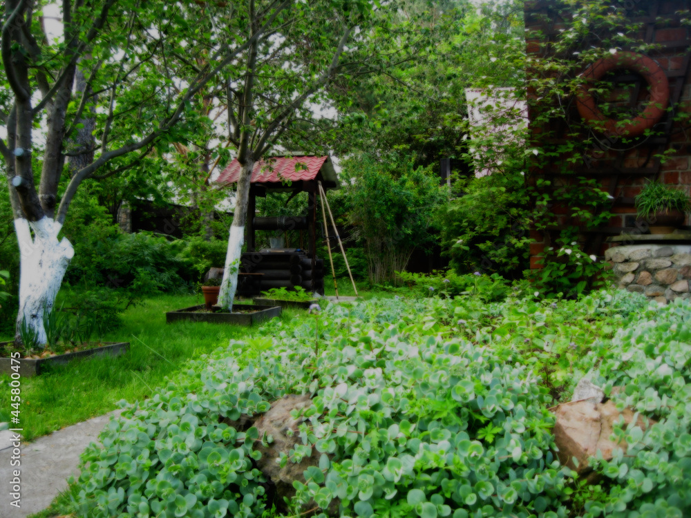 well in the garden fabulous landscape summer, country house well in the garden fabulous landscape summer, country house