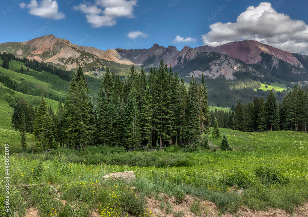 Colorado Rocky Mountains Summer Landscape