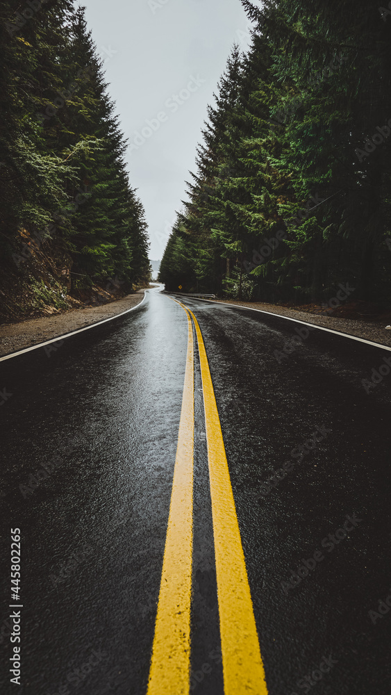 Obraz premium driving on highway