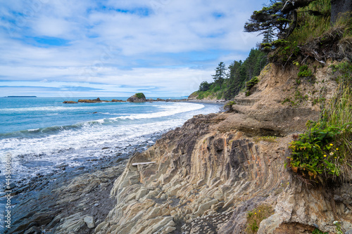 View of the Pacific Ocean coastline from Kalaloch Beach in Olympic National Park