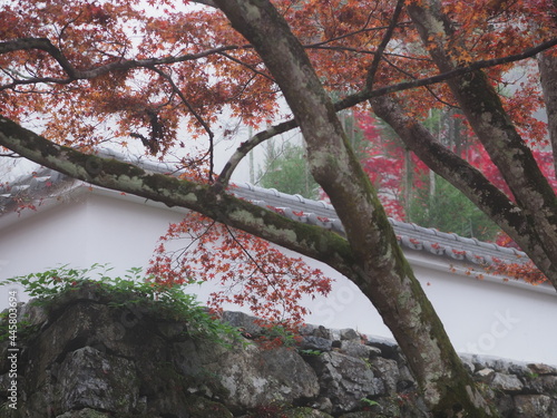 紅葉とお寺の屋根