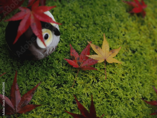 紅葉とふくろうの小物