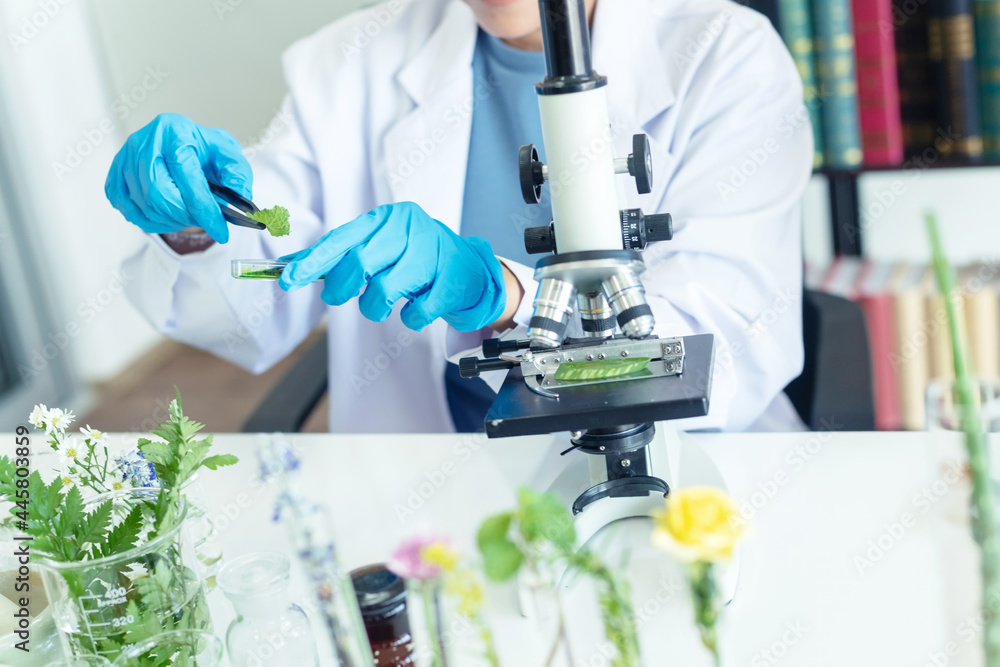 Close up hands woman science lab research for Natural alternative herb and essential oil from fresh flower new product skin care with microscope in laboratory Close up hands woman science lab research for Natural alternative herb and essential oil from fresh flower new product skin care with microscope in laboratory