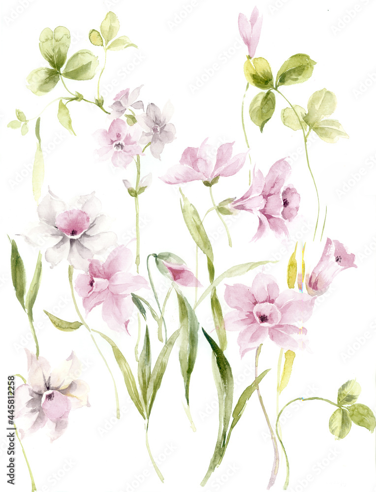 Fototapeta premium Flowers watercolor illustration.Manual composition.Big Set watercolor elements,Design for textile, wallpapers,Element for design,Greeting card