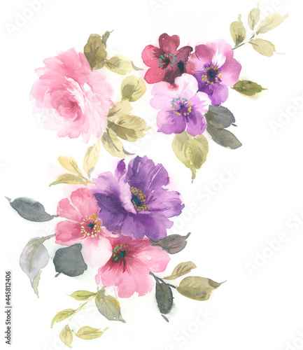 Flowers watercolor illustration.Manual composition.Big Set watercolor elements，Design for textile, wallpapers，Element for design,Greeting card