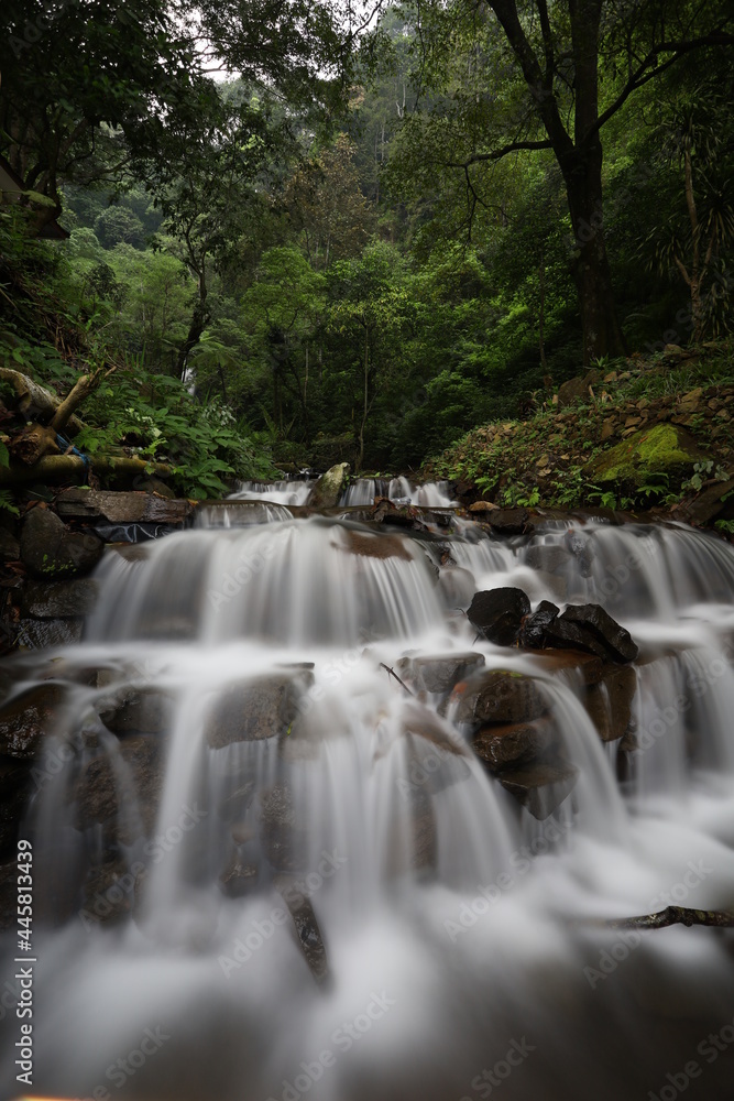 waterfall in the forest