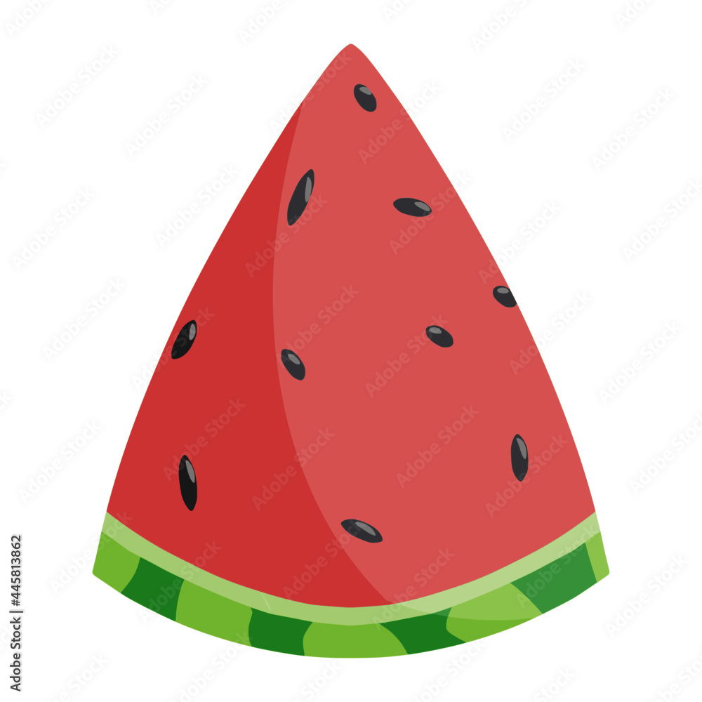 watermelon in summer color illustration watermelon in summer color illustration
