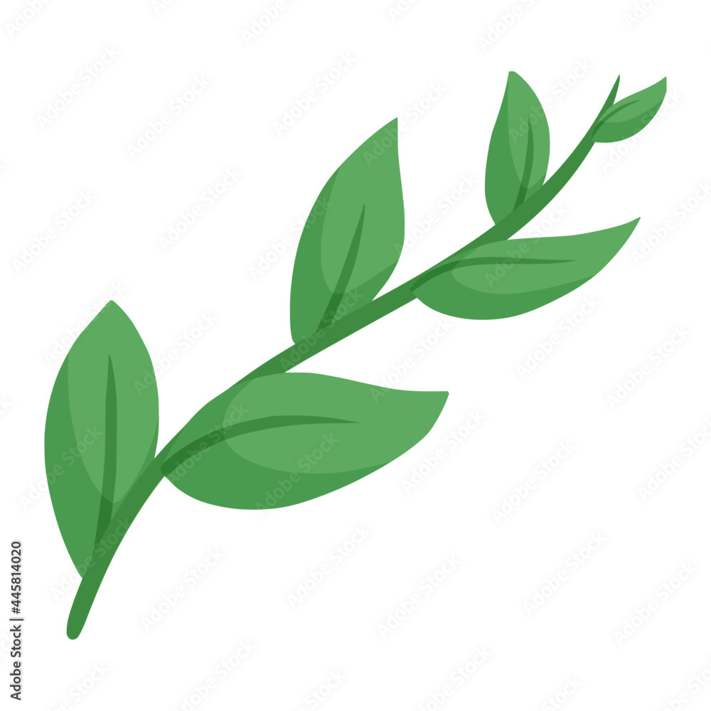 plant in spring color illustration plant in spring color illustration