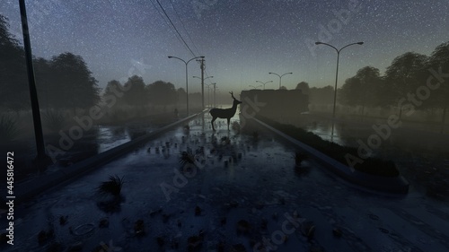 deer at road night