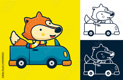 Funny fox wearing scarf driving car. Vector cartoon illustration in flat icon style