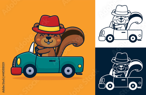 Squirrel wearing hat while driving car. Vector cartoon illustration in flat icon style