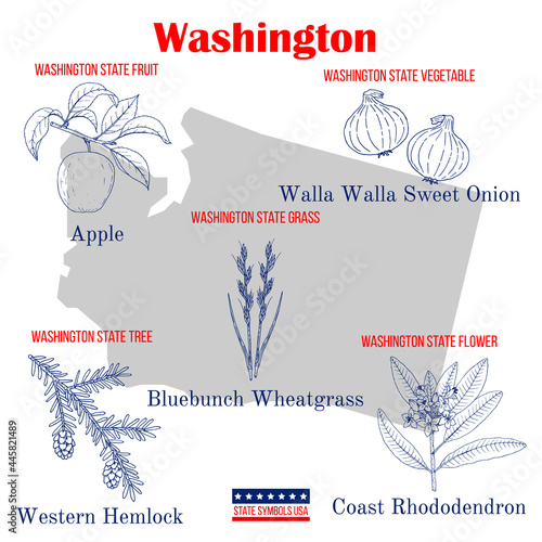 Washington. Set of USA official state symbols
