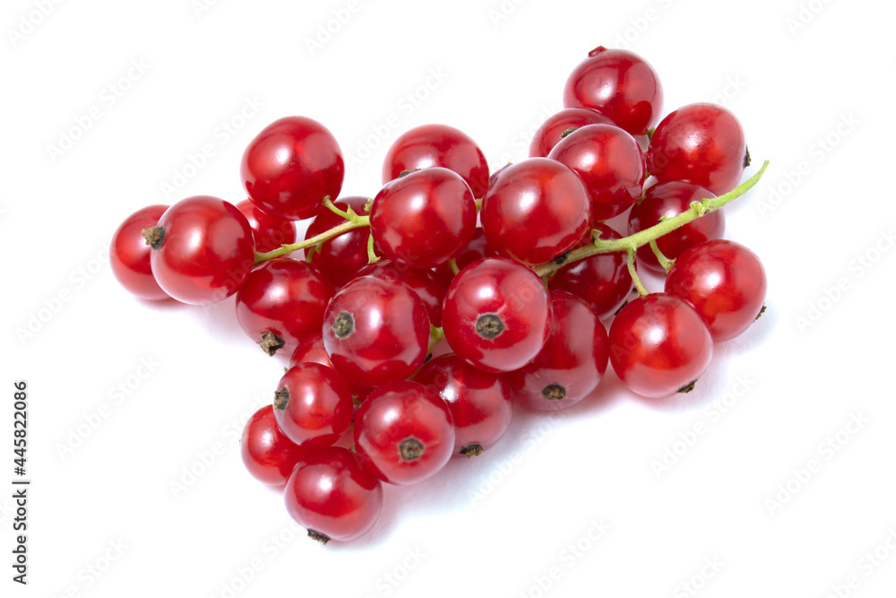 A sprig of red currant, isolated on a white background.Juicy bright and fresh berries.Use for labels of posters and web design. A sprig of red currant, isolated on a white background.Juicy bright and fresh berries.Use for labels of posters and web design.