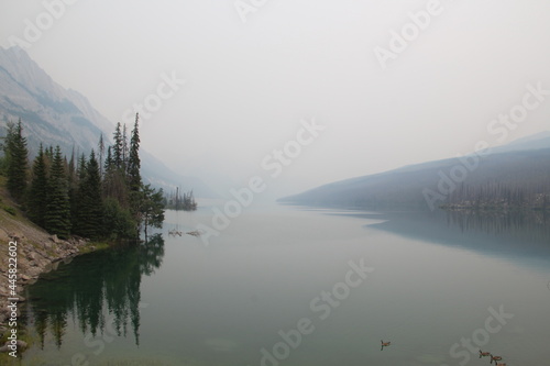 Haze On The Lake, Jasper National Park, Alberta