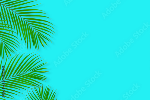 top view of tropical palm leaf on blue color background. minimal summer concept. flat lay