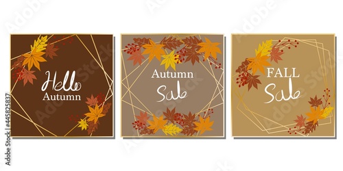 Set of autumn vector template decoration with colorful maple leaves and berries. Autumn sale, fall banner, autumn concept web template. Vector illustration. © Lala