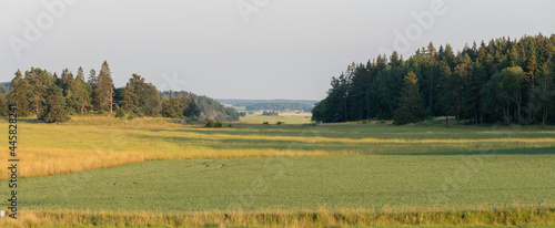 A typicaly Swedish rural farmland scene in sunset