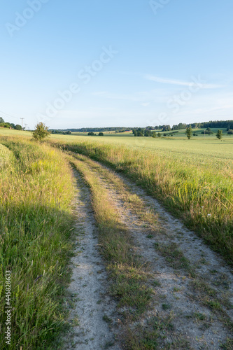 Dirt track through agricultural landscape in sunset