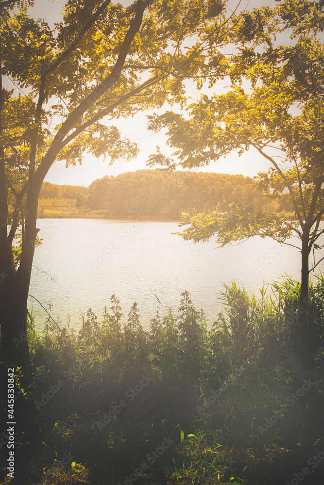 Autumn foliage and fog lake in morning. Autumn foliage and fog lake in morning.
