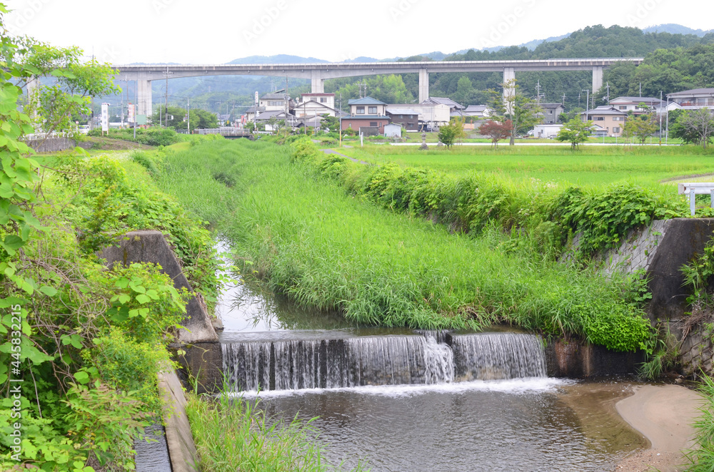 日本の田舎の風景。田や川があります。