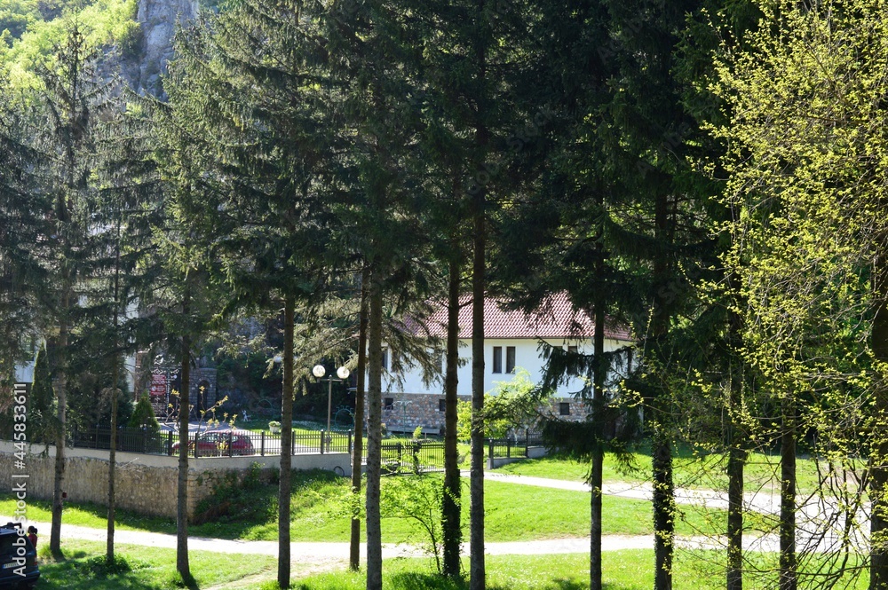 a white house among the trees a white house among the trees