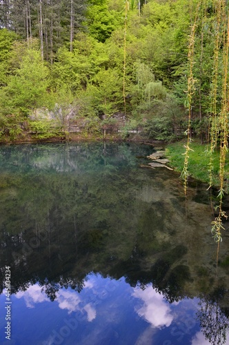 Fototapeta Naklejka Na Ścianę i Meble -  a reflection in a clear river