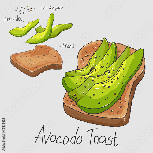 Avocado toast for breakfast. Healthy food. Ripe sliced avocado and whole grain bread. Isolated illustration. Recipe with instructions
