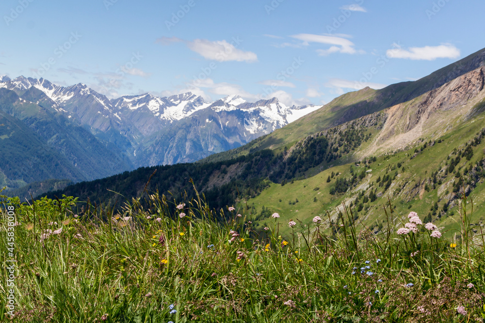 Almwiese am Fuße des Hinteregger Kogel in Matrei, Osttirol Österreich