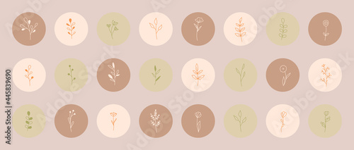 Plants and flowers with leaves in a minimalistic simple style. Handmade floral logo. Botanical one line icons set. Set of round highlighter icons for blog account and social media. Vector illustration