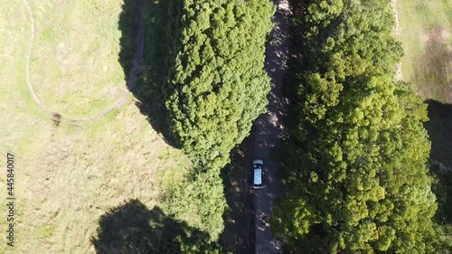forest_drone