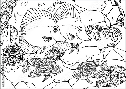 Tropical marine fishes in the aquarium and in nature. Colorful sea fish vector templates. Coloring book for children and adults.	