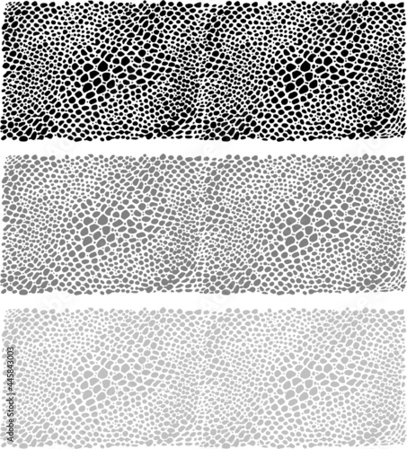 Reptile skin. Animal print background.