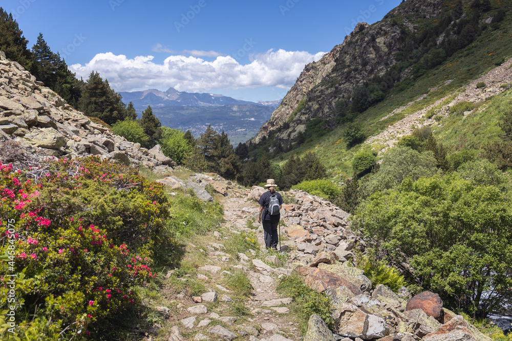 Woman trekking in Eyne Valley with Carlit Peak on the Background, French Pyrenees