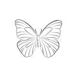 Elegant Outline butterfly on white background.