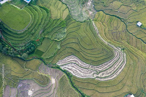Sapa terraced fields in the ripe rice season seen from above