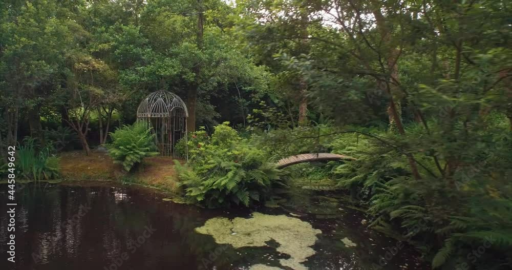 Aerial: pond and tranquil magical forest. Baltimore, Ireland Aerial: pond and tranquil magical forest. Baltimore, Ireland