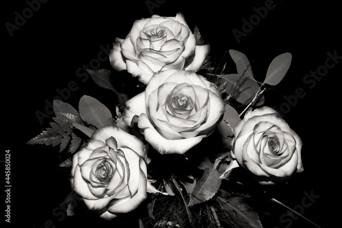 Beautiful bouquet of roses - black and white photography