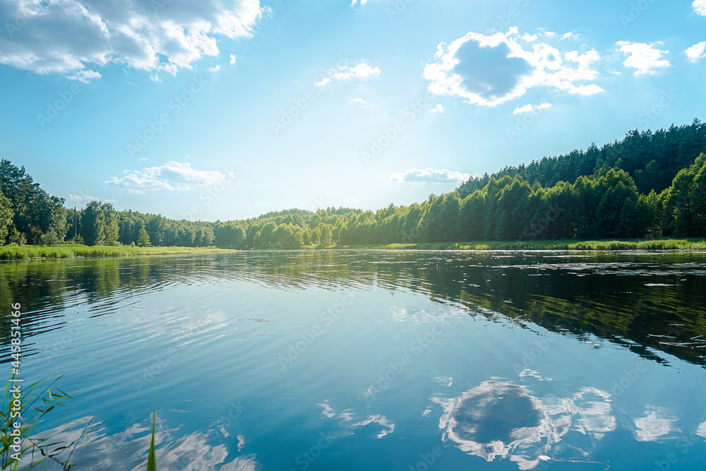 Fototapeta premium Summer lake landscape with beautiful blue sky, green forest and sunlight. Reflection of the bright sky in the lake. Summer vacation concept.