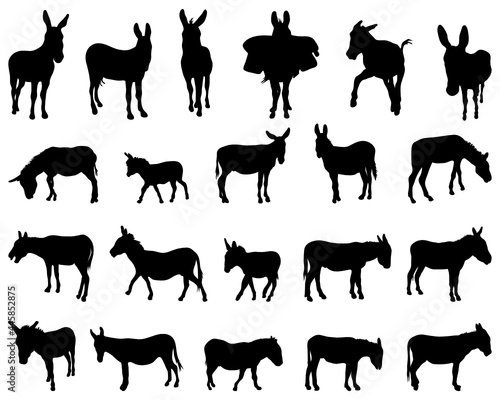 SVG Black silhouettes of donkeys on white background 