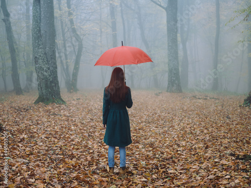 woman with red umbrella coat autumn forest fog nature