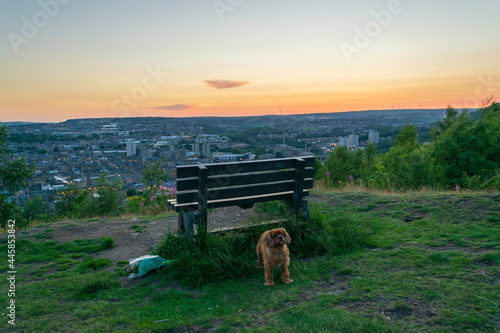 bench at sunset