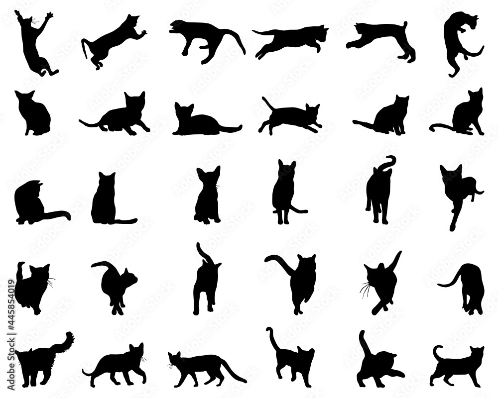 SVG Black silhouettes of cats on a white background