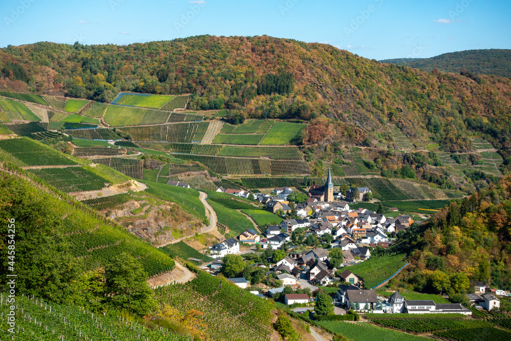 Village of Mayschoß as seen from the 'Rotweinwanderweg', the Red Wine Hiking Trail. Ahrweiler District, Rhineland-Pflaz, Germany