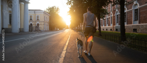 Walk with the dog along the city street. At sunset in the city