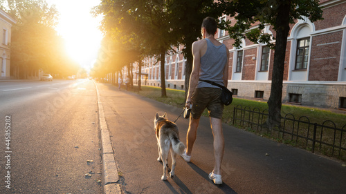 Walk with the dog along the city street. At sunset in the city