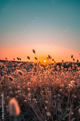 Sunset in France