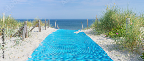 Fototapeta Naklejka Na Ścianę i Meble -  Zugang zur Ostsee