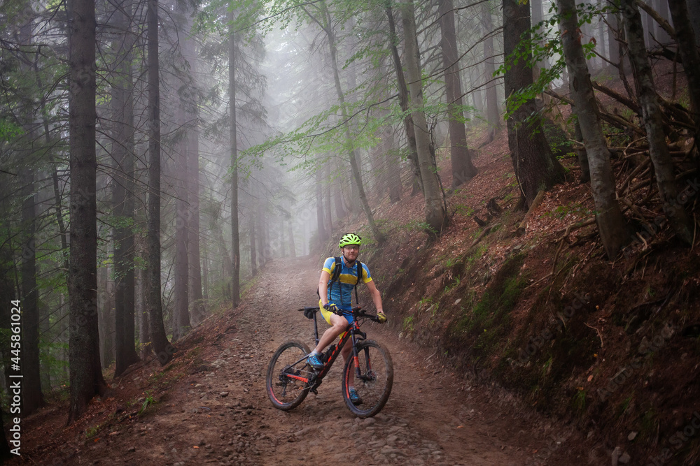 Cyclist in the autumn forest
